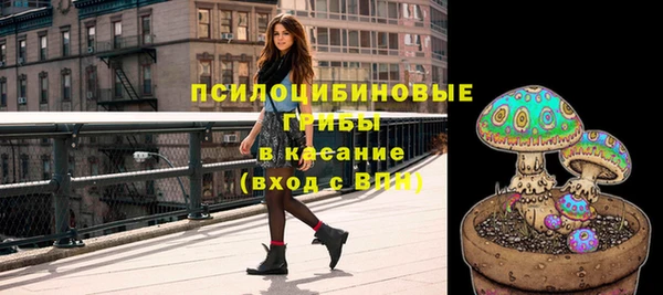 сатива Белоозёрский