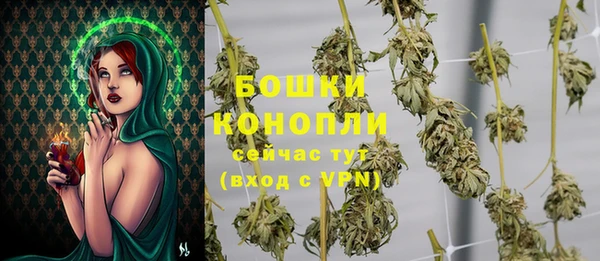 сатива Белоозёрский